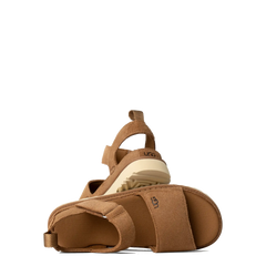 Goldenstar Chestnut (Women)