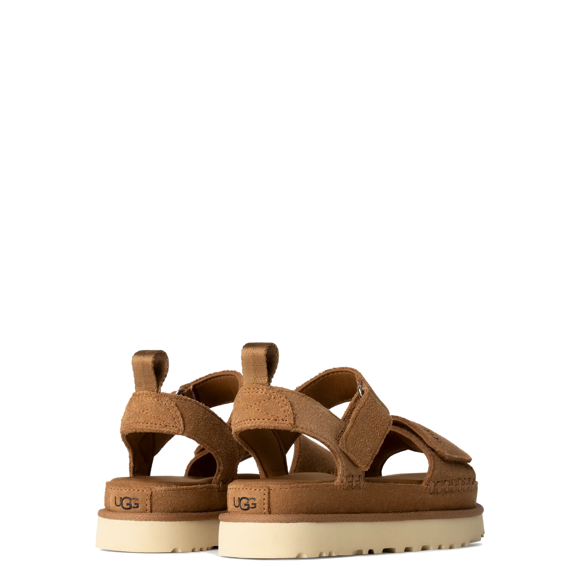 Goldenstar Chestnut (Women)