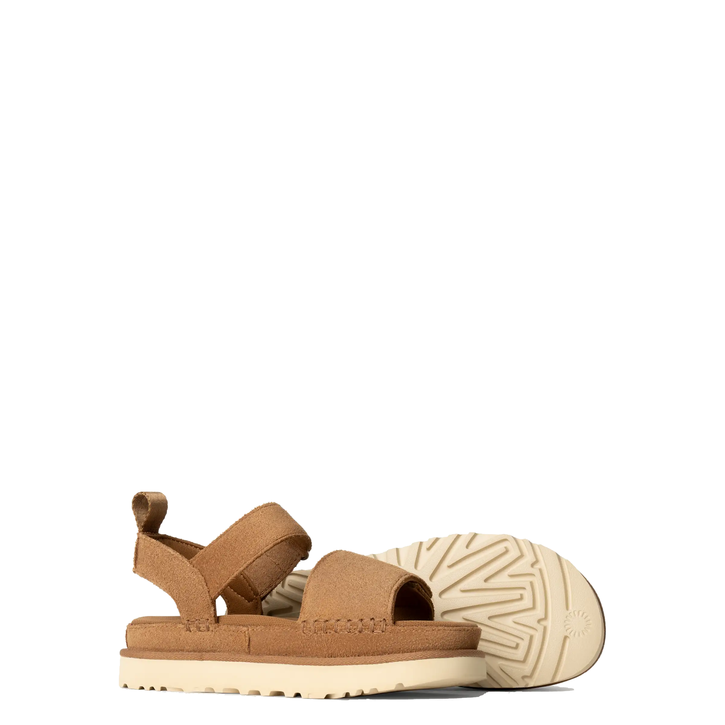 Goldenstar Chestnut (Women)