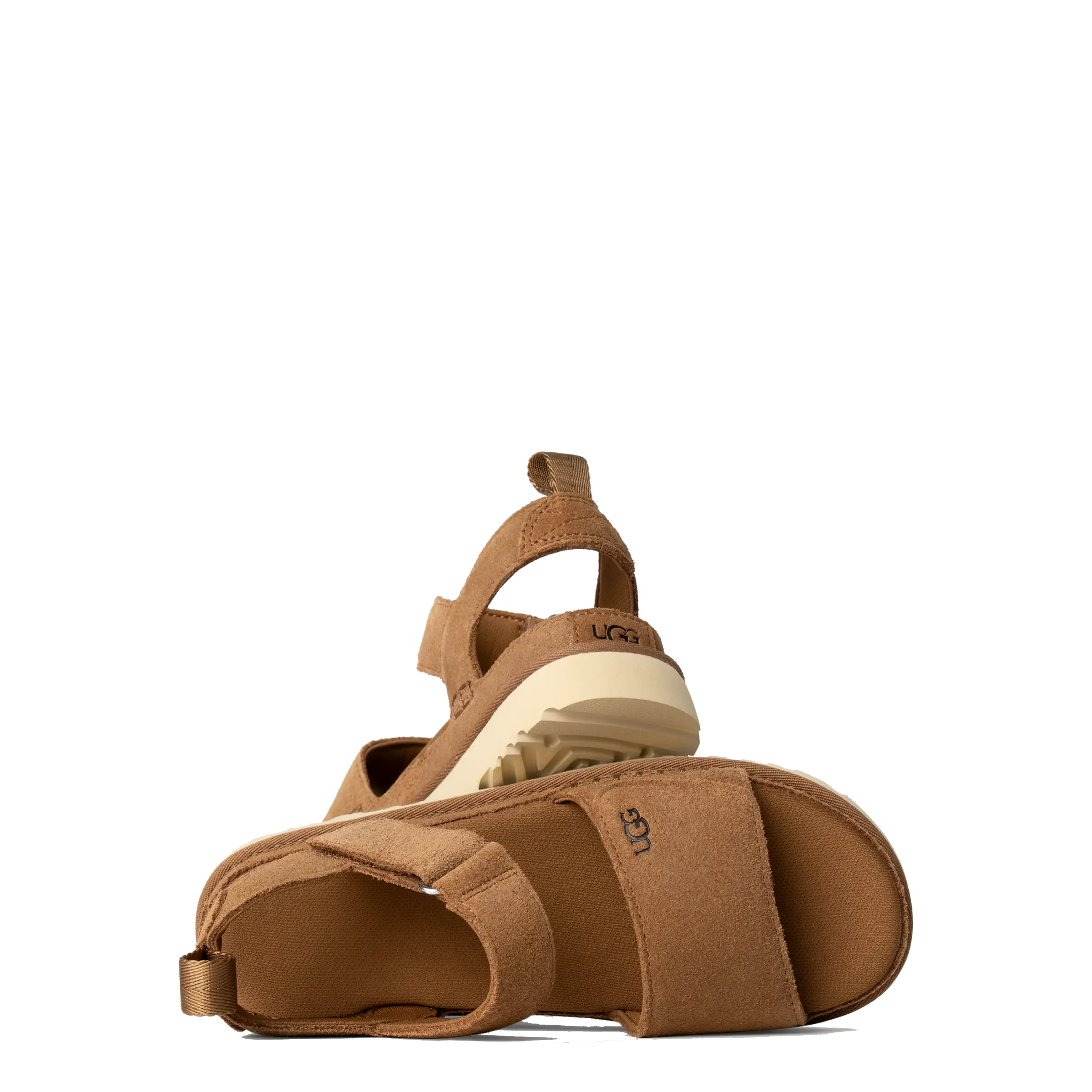Goldenstar Chestnut (Women)