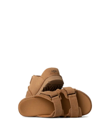 Goldenstar Hi Slide Chestnut (Women)  FINAL SALE