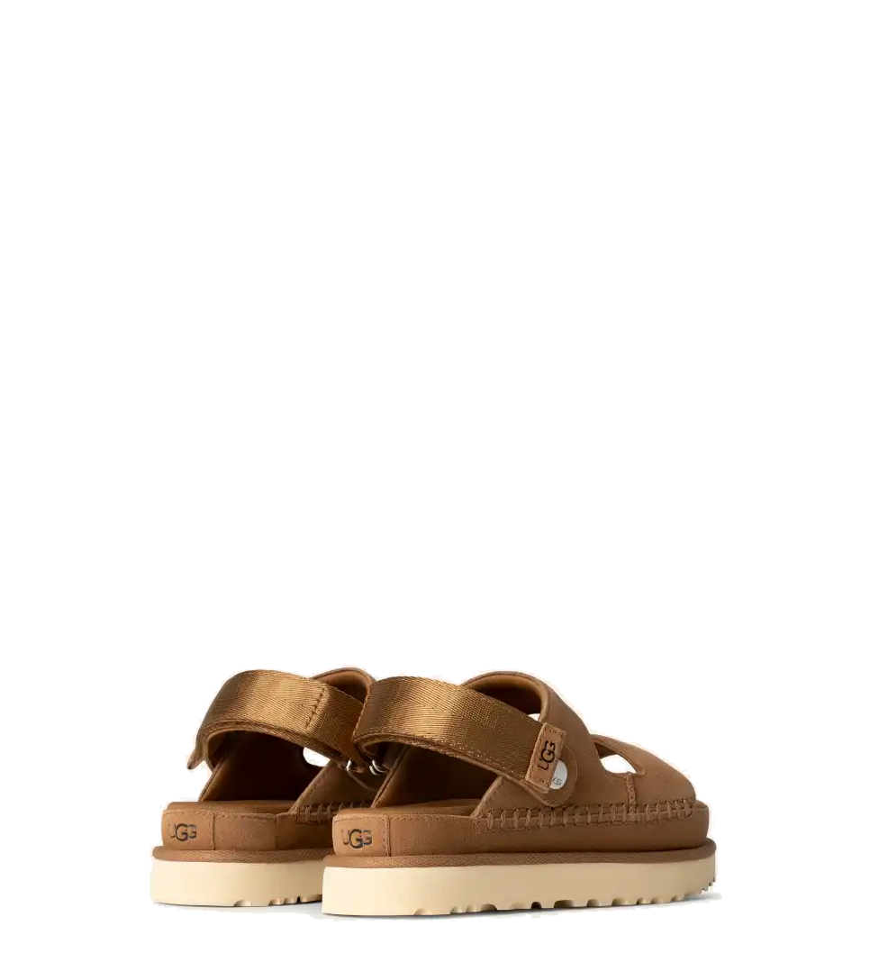 Goldenstar Glide Chestnut (Women)