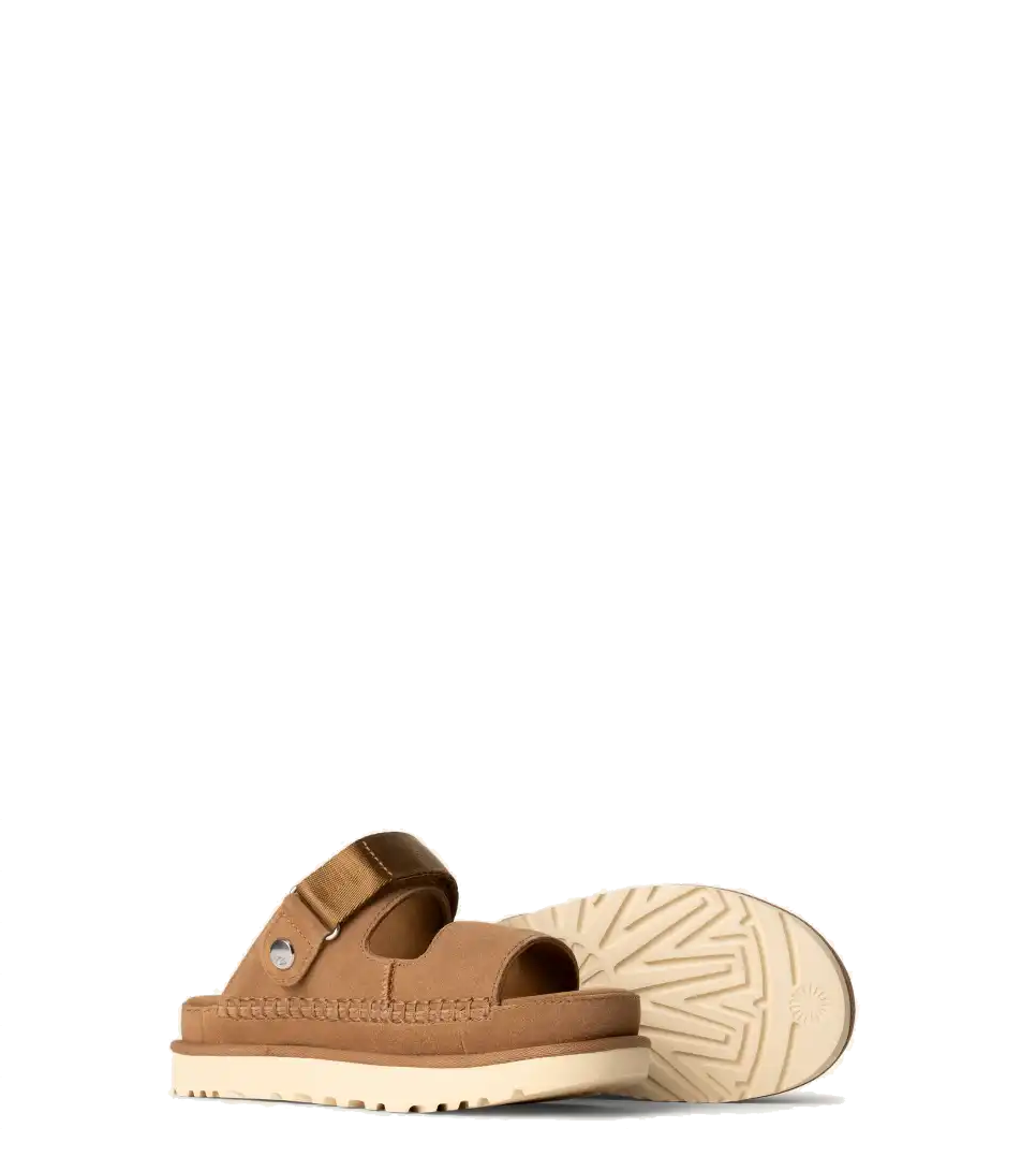 Goldenstar Glide Chestnut (Women)
