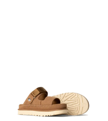 Goldenstar Glide Chestnut (Women)