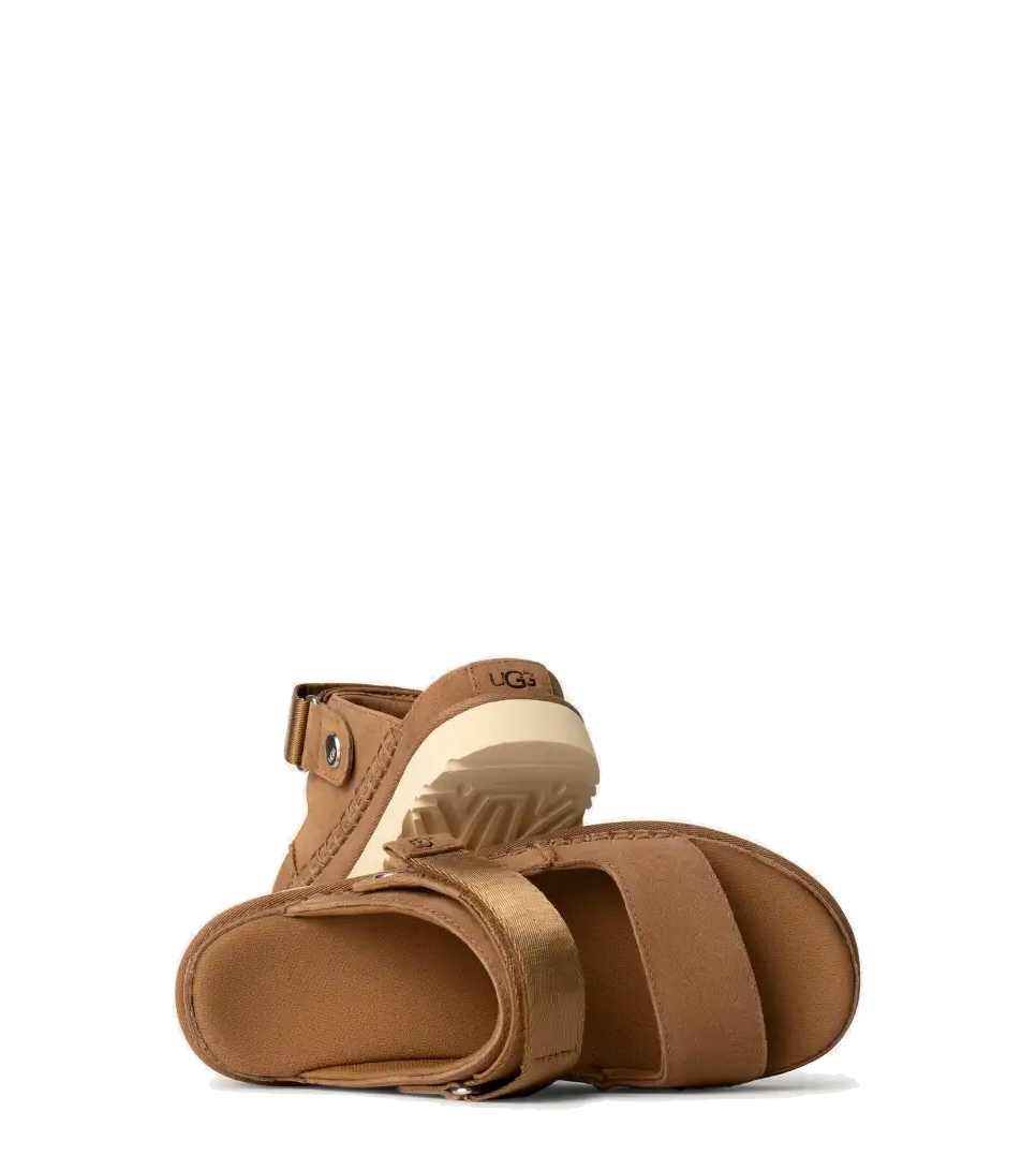 Goldenstar Glide Chestnut (Women)
