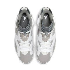 Air Jordan 6 'Cool Grey'