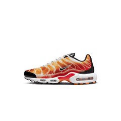 Nike Air Max Plus OG "Light Photography" - Men's