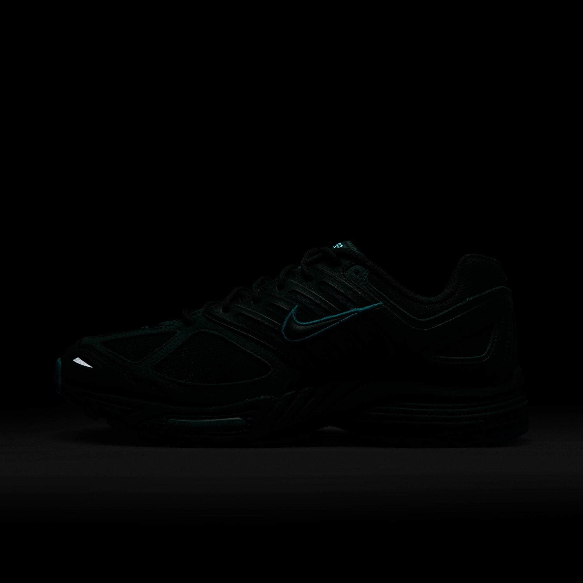 Nike Air Pegasus 2005 - Men's