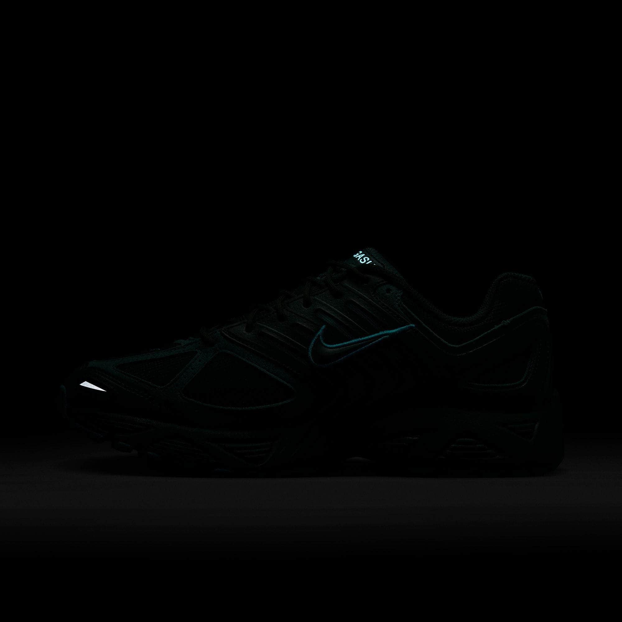 Nike Air Pegasus 2005 - Men's