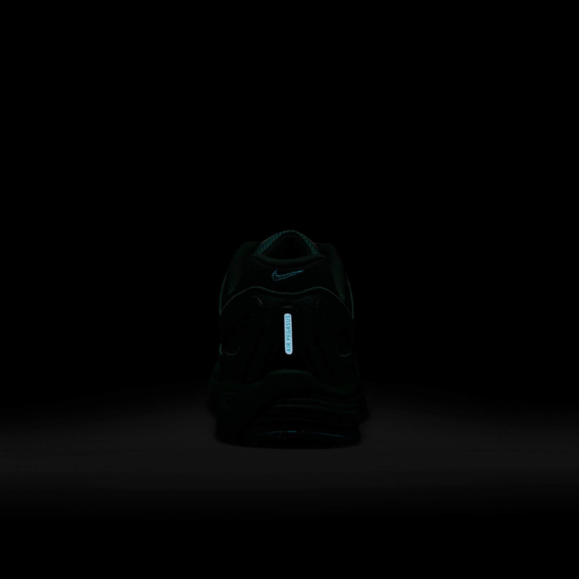 Nike Air Pegasus 2005 - Men's