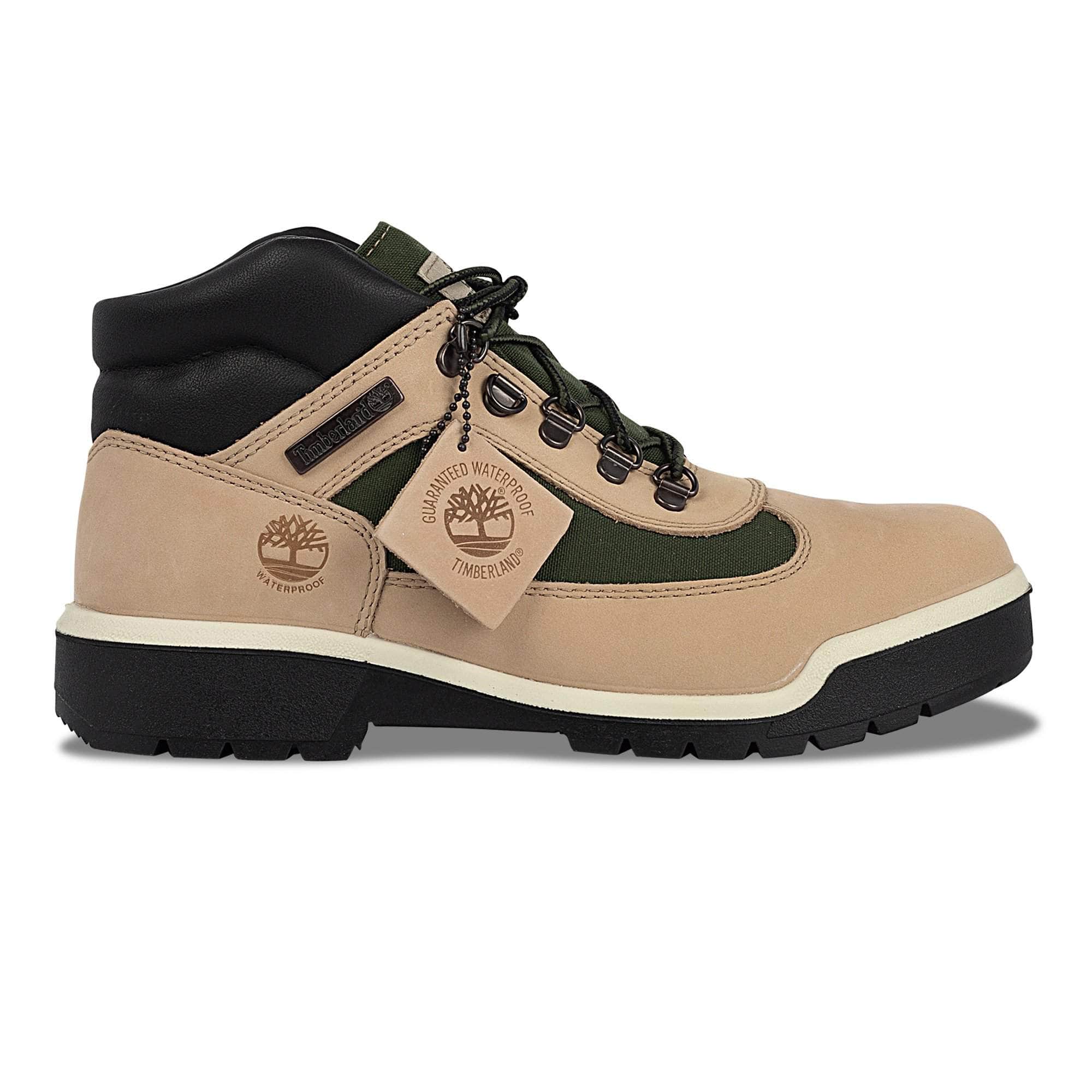 Timberland 6 Inch Field Boot - Men's